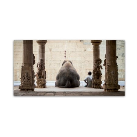 Ruhan 'The Elephant And Its Mahot' Canvas Art,10x19